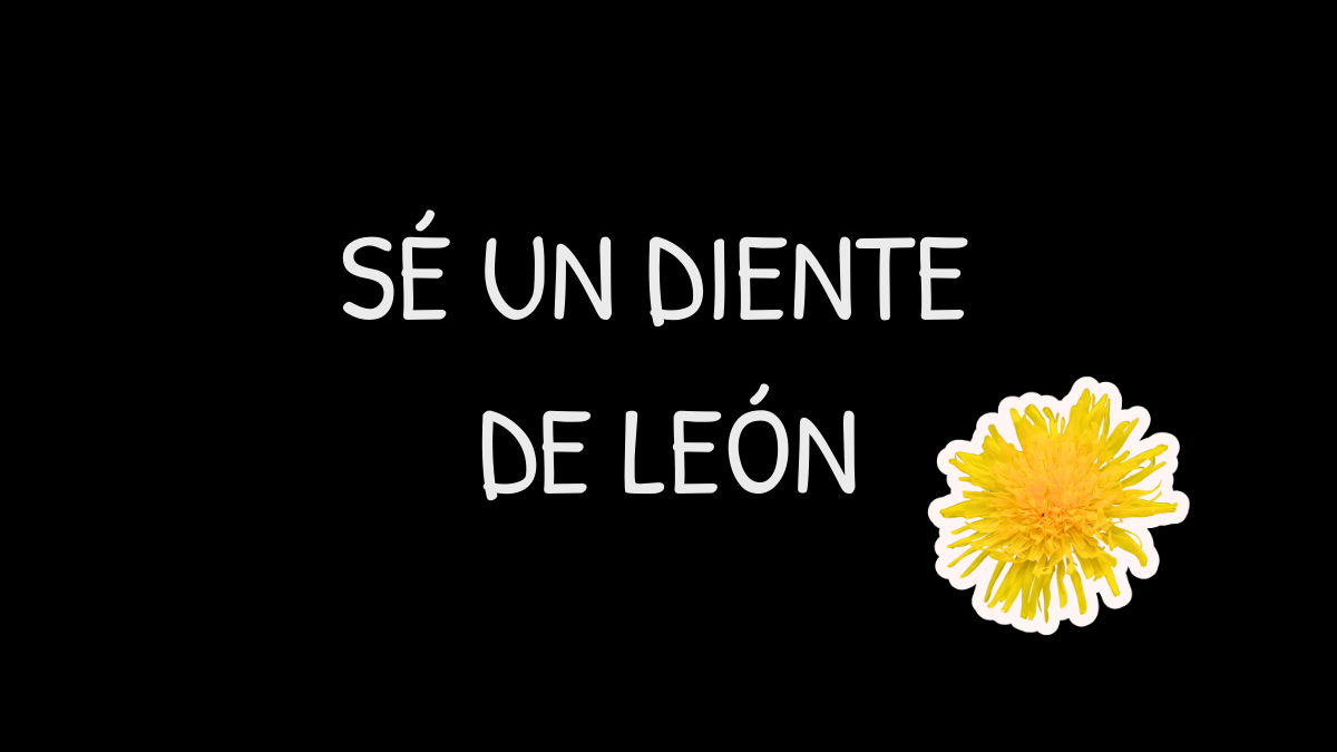 Sé un diente de león